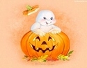 Pokaz Magii~|  Halloween~|  Balik~| - 28.10.2016| 